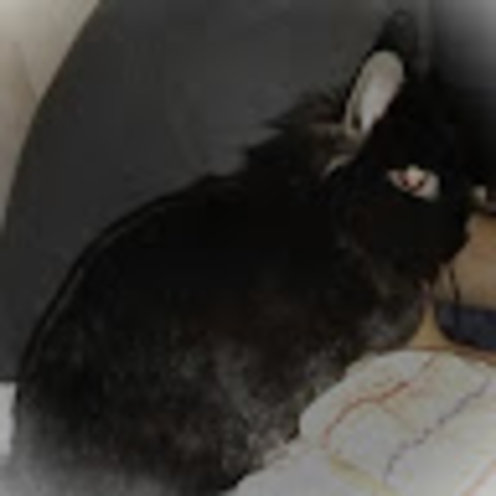 Meet your Posher, Gimli